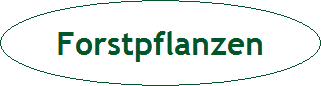Forstpflanzen