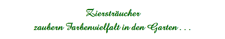 Zierstrucher
zaubern Farbenvielfalt in den Garten . . .